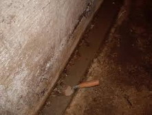 Mokri zidovi podruma